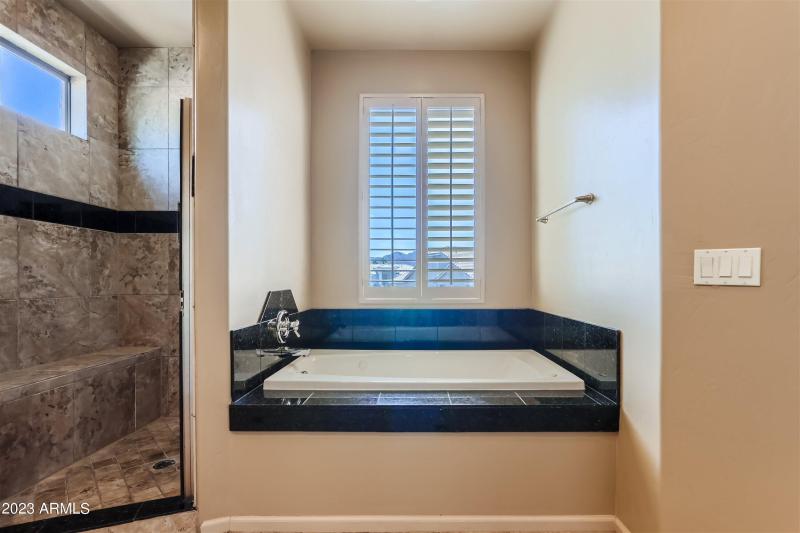 MASTER TUB AND SHOWER