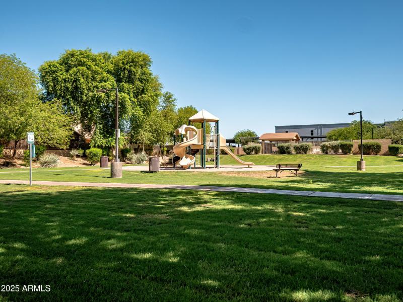 36_twi17 (1 of 1)1-focus