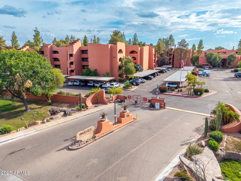 43 - Paradise Aerials