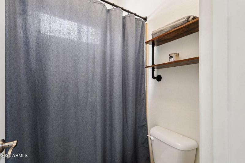Shower and toilet separate from vanity
