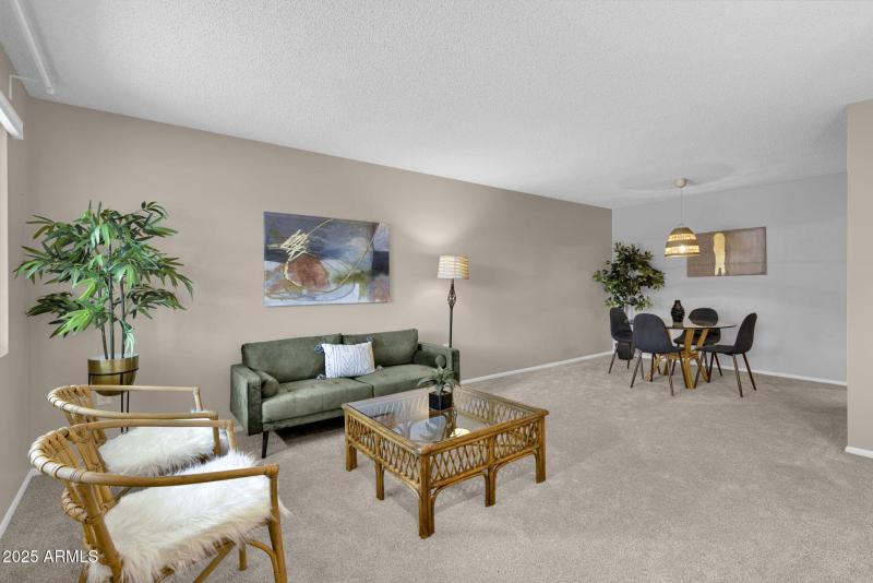 8-web-or-mls-368A9541