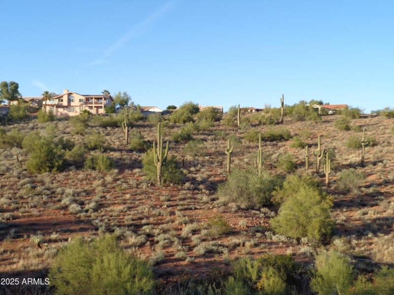 Botom of lot looking up