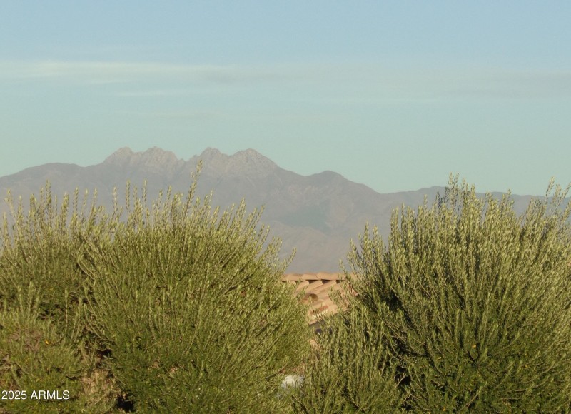 Four Peaks View