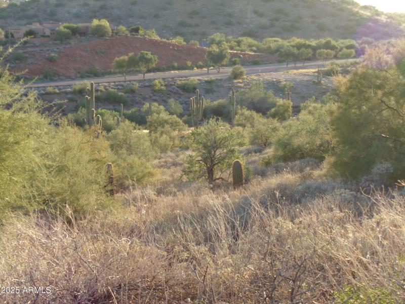 Looking to back of lot