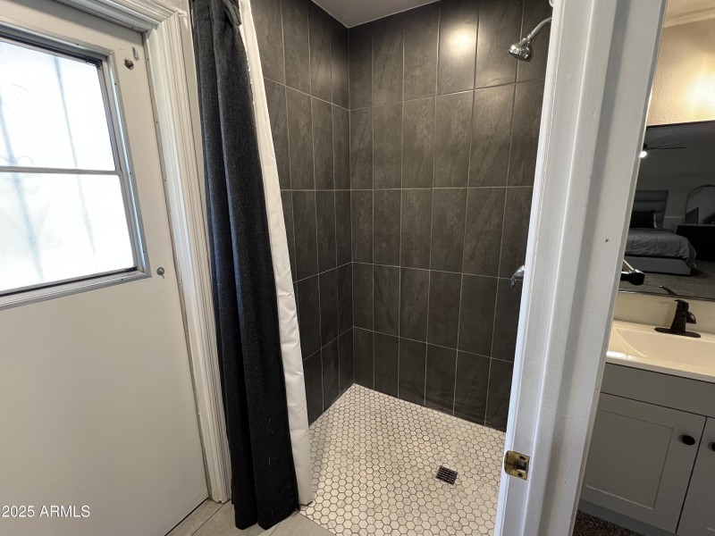 Primary Shower angled view