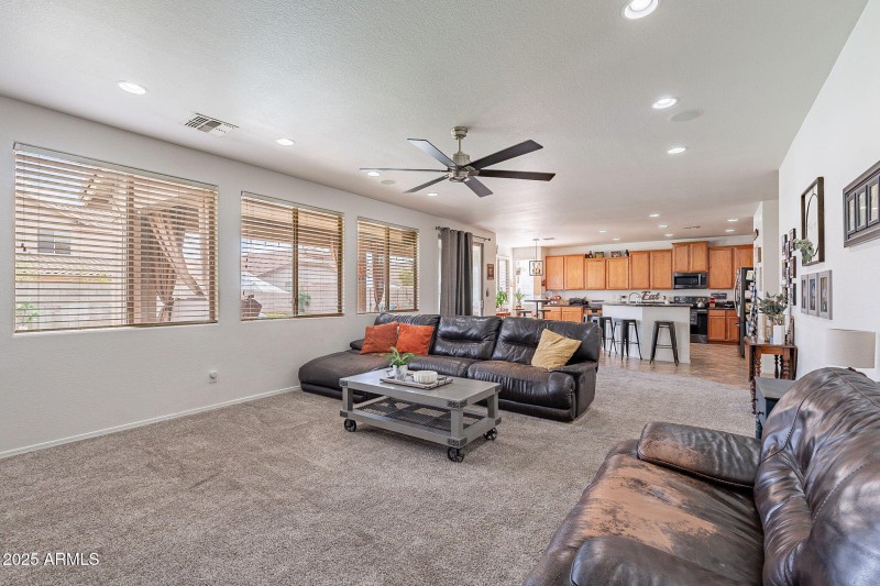 Family Room-Kitchen Area