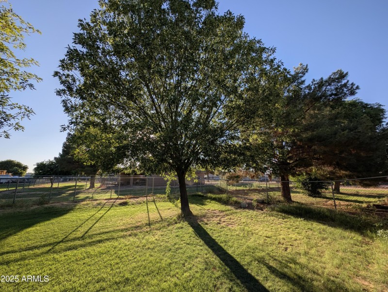 PXL_20250724_011925192