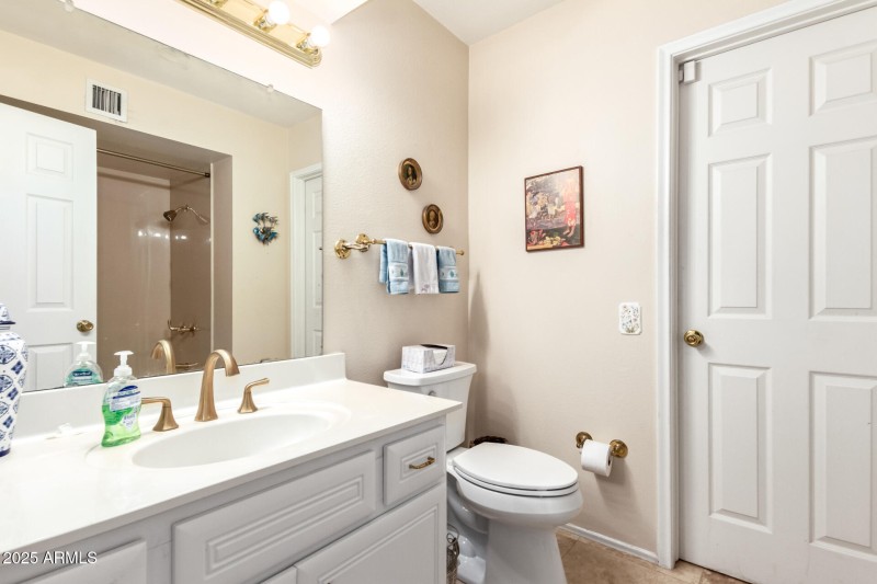 Hall bathroom