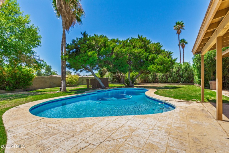 Mature landscaping