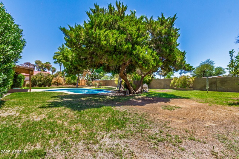 Backyard