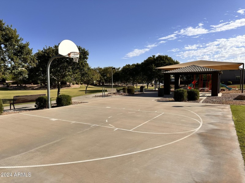 Basketball Court