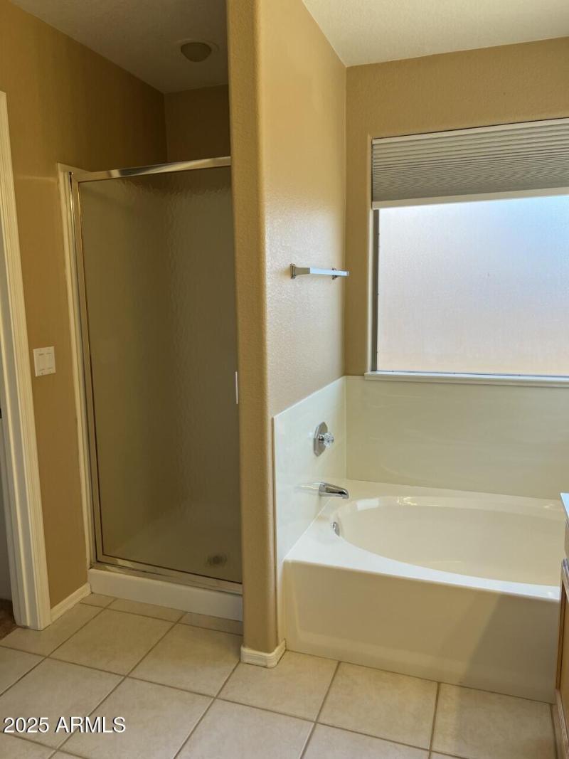 Mstr Bath Shower & Tub