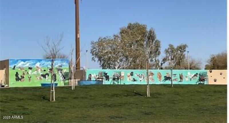 DOG PARK2