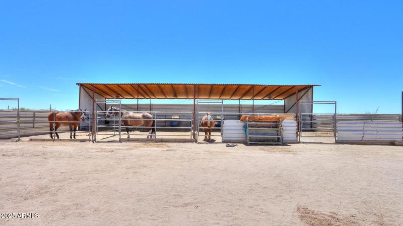 Horse Lovers Look no more!