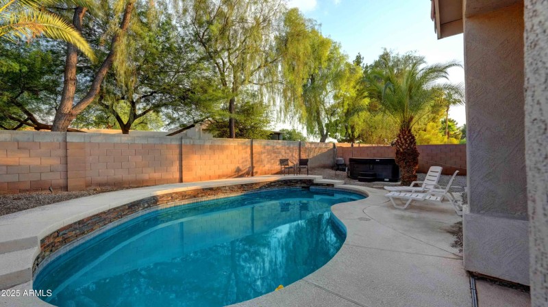 Gorgeous trees behind the house