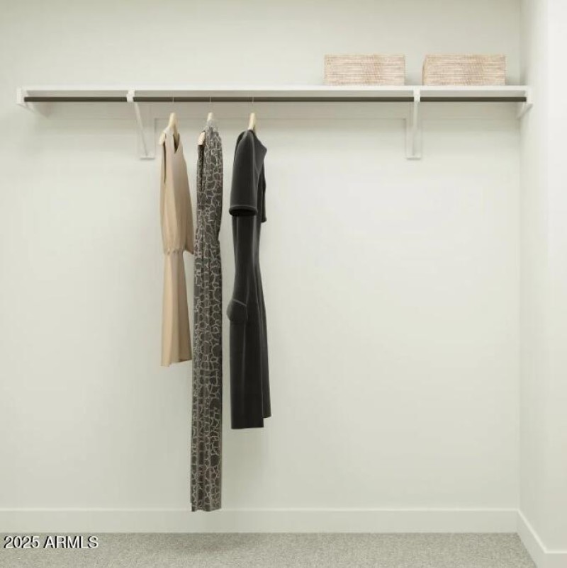 Owner's Walk in Closet
