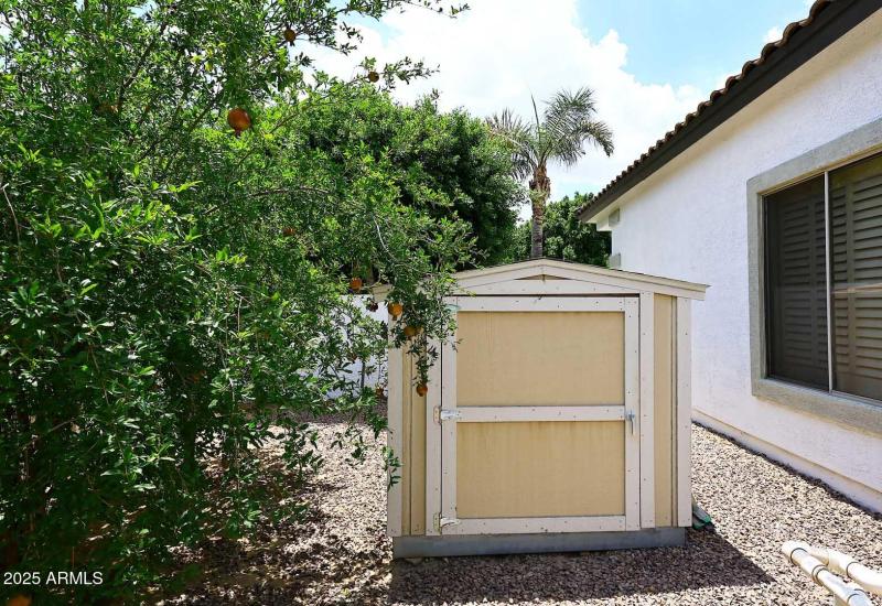 Storage Shed