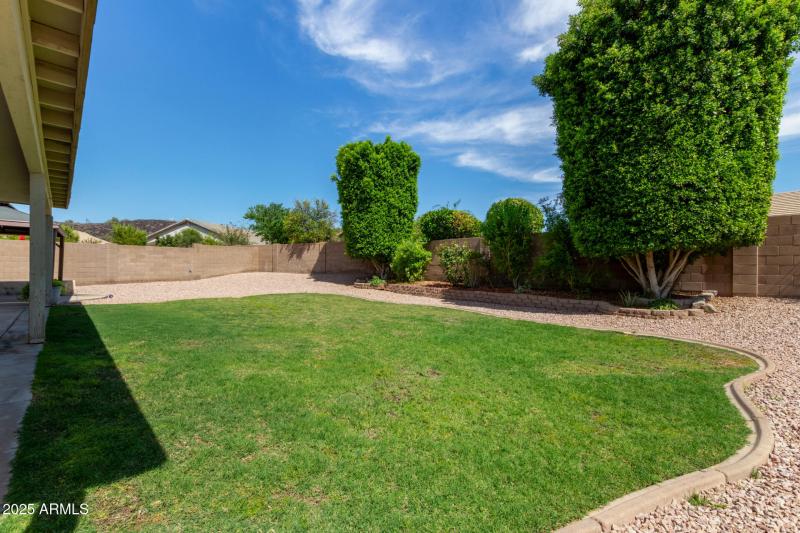Large Backyard with REAL grass