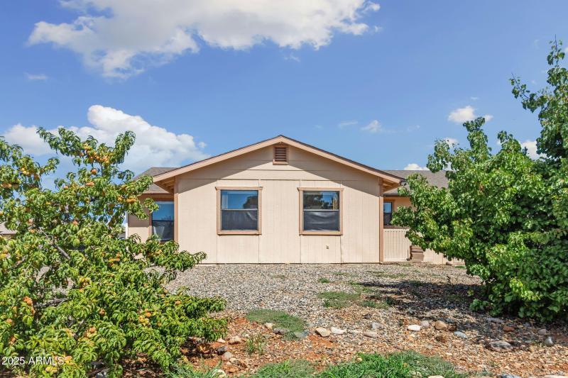 35_Peach and Apricot Trees