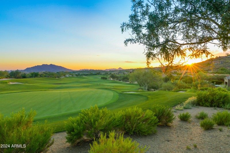 Sensational Renegade