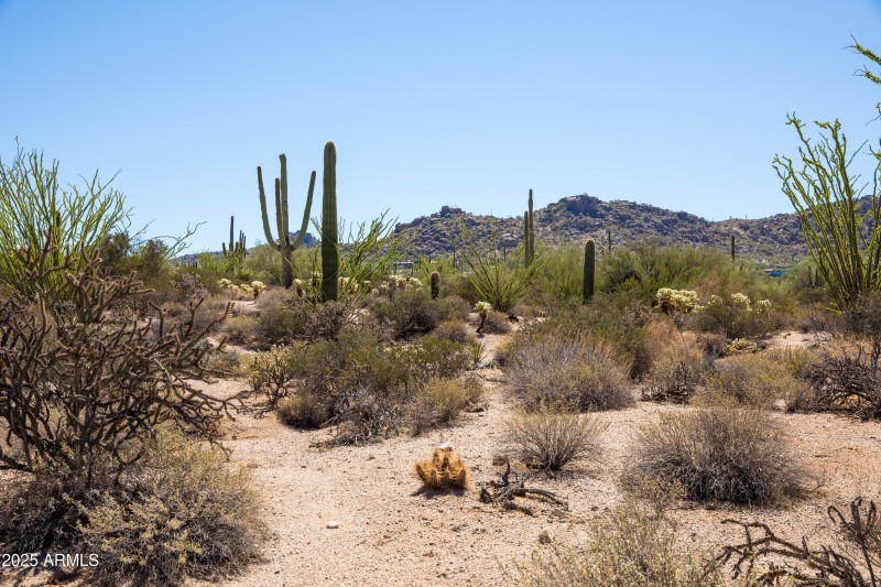 Perfect for Your Dream Home