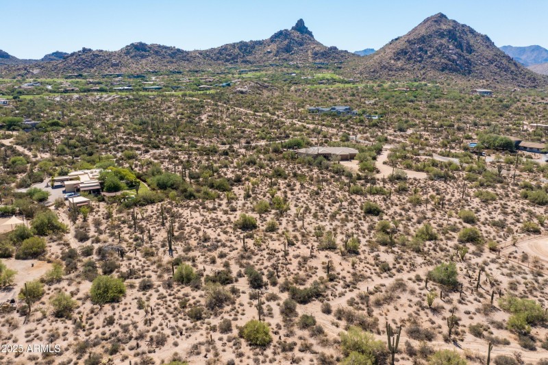 Stunning Saguaros and Views