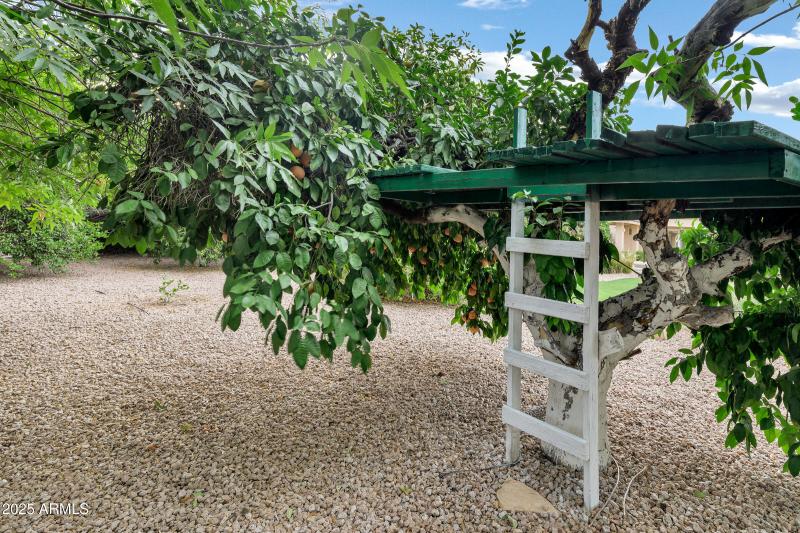 3819 E Ivyglen St-72