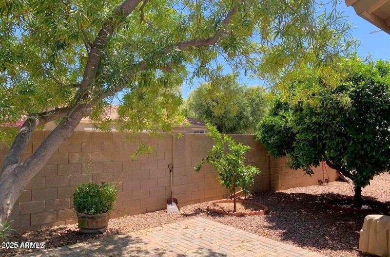 20250124063135012119000000-o