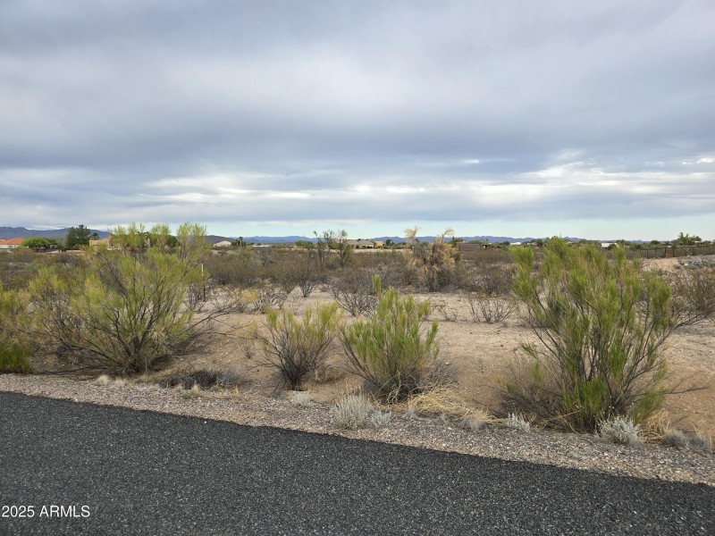 View of Lot from Street