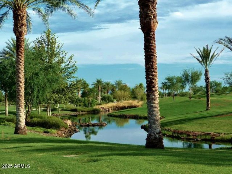 VIEW FROM TRILOGY BLVD