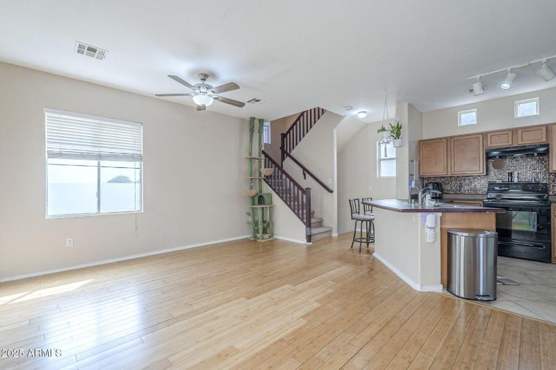 Living Area & Kitchen