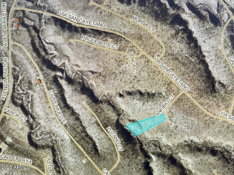 Aerial for 344 Anfibio Ct