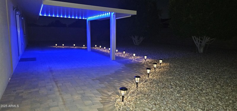 PICTURE - BLUE BACK YARD