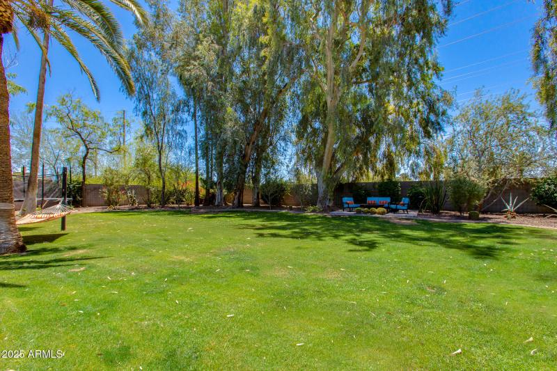 Huge grass area to play