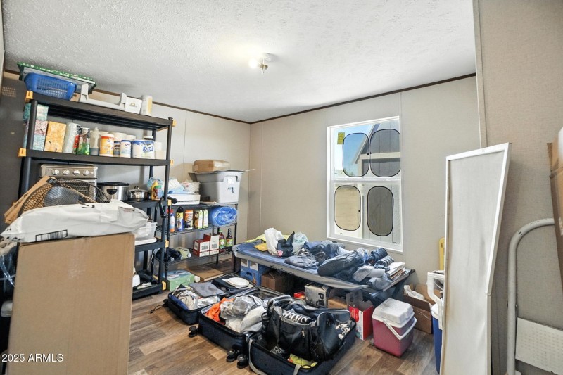 6-web-or-mls-_DSC2909 chris avery