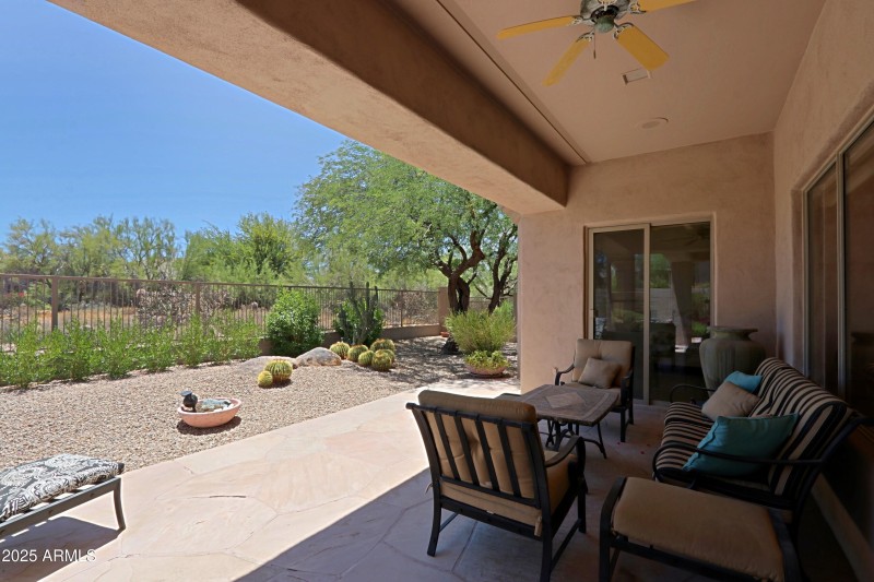 Backyard 1