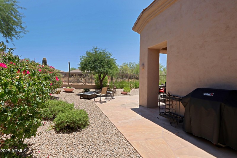 Backyard 3