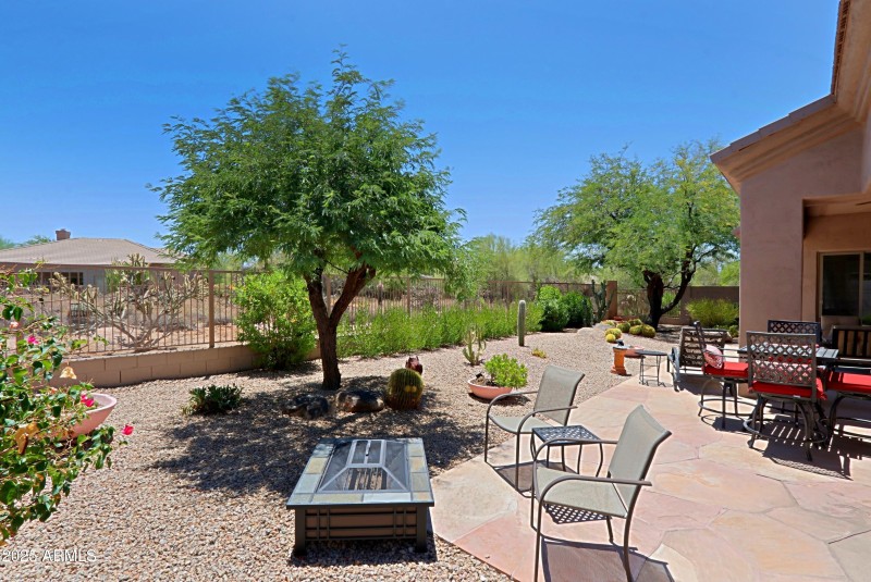 Backyard 4