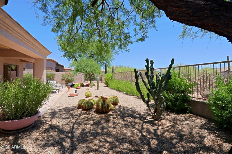 Backyard 8