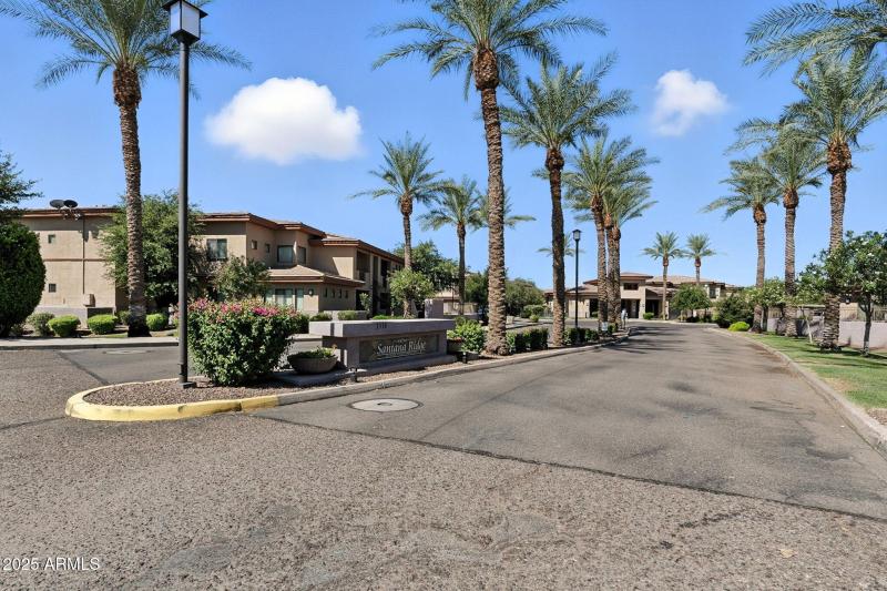 42-web-or-mls-Gilbert-42