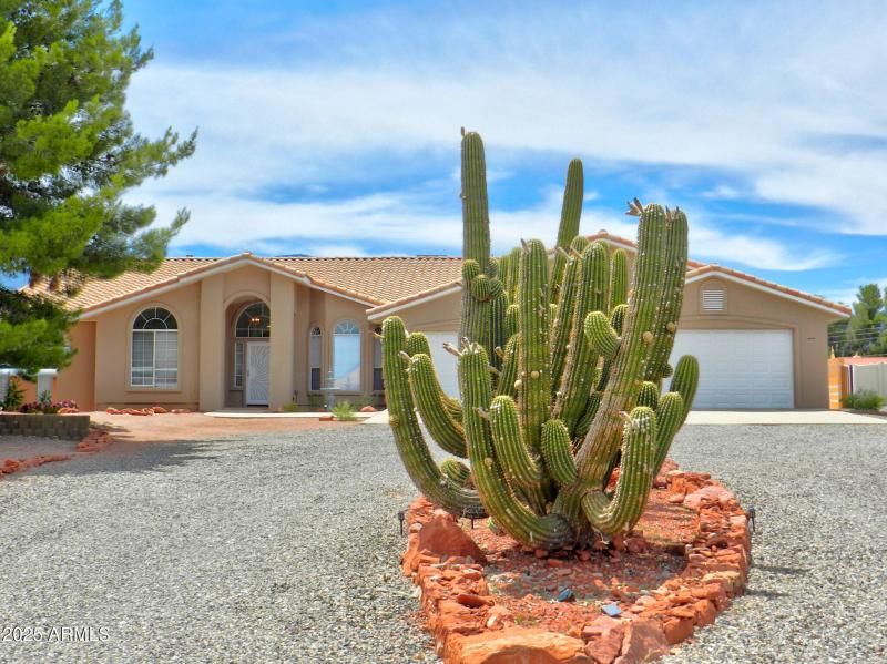 Driveway Cacti