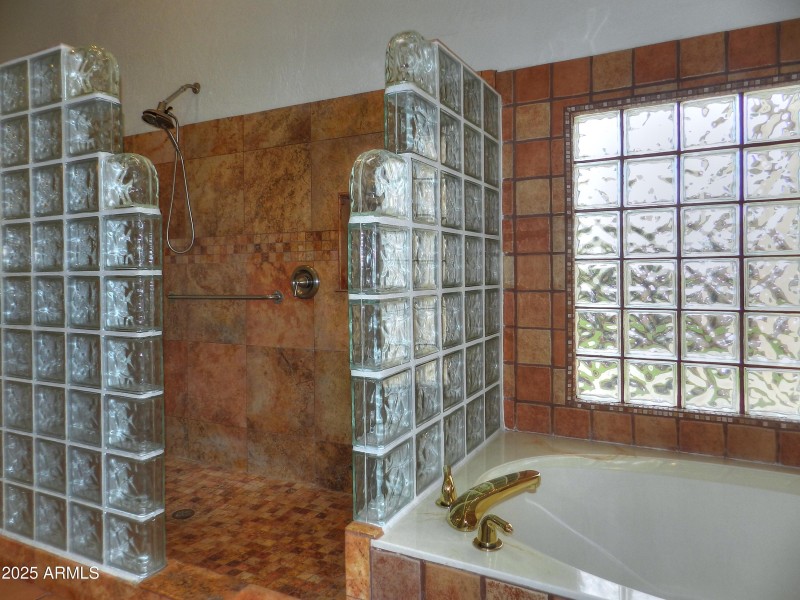 Master Shower-Tub