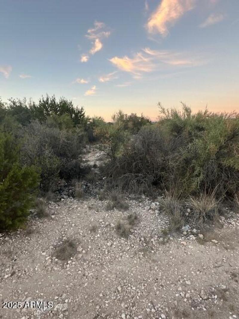 20567 E Cedar Canyon Dr