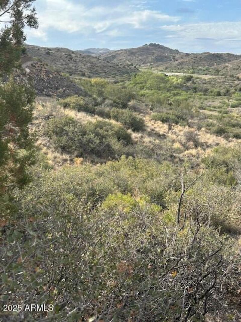 Loads of Natural Vegetation