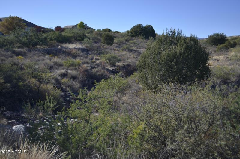 View of Natural Wash