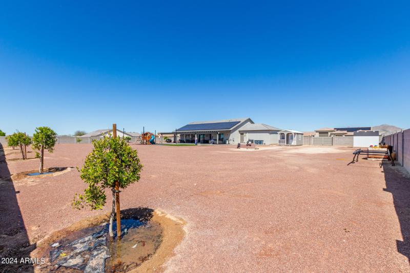 39 - Appaloosa 10265