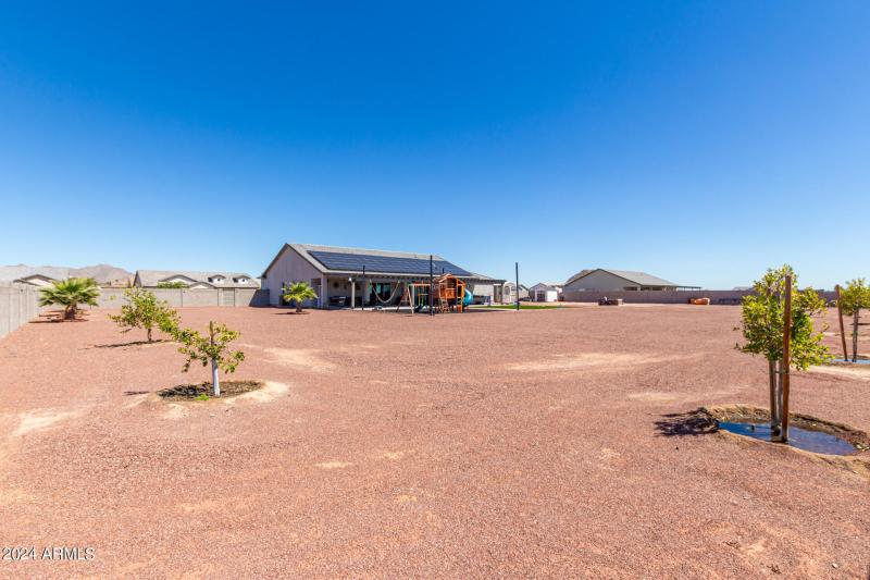 44 - Appaloosa 10265