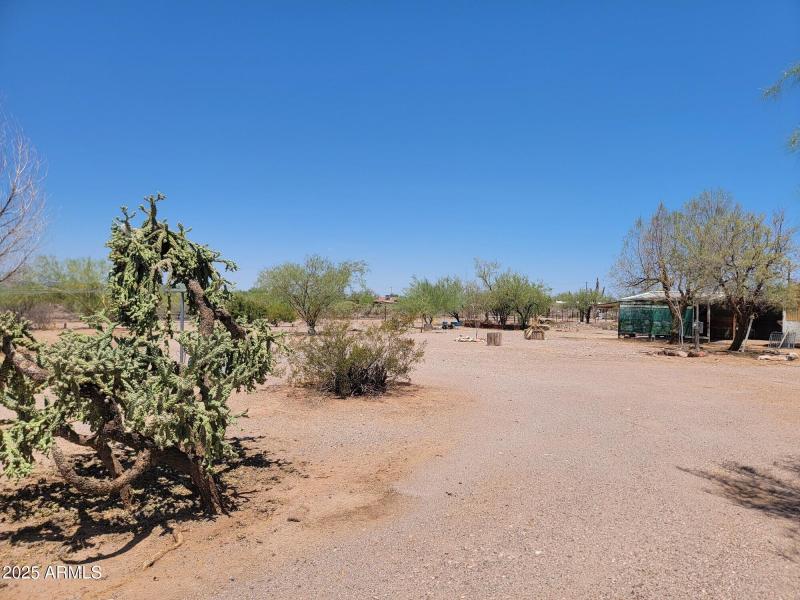 Resized_20250705_114034