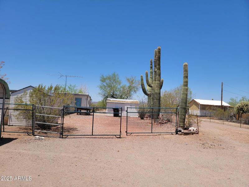 Resized_20250705_120049