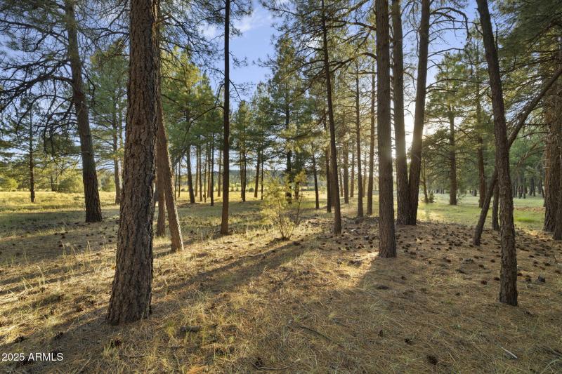 23-web-or-mls-FA9A5421